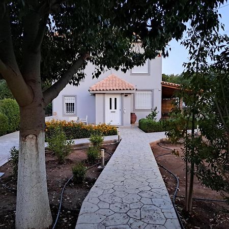 Studio Katafigi Anavyssos Bagian luar foto
